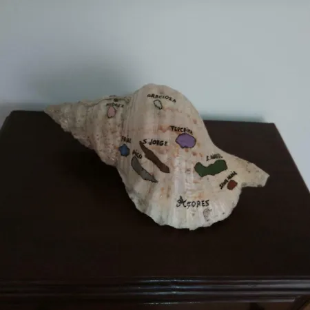 Janelas Da Praia da Vitoria